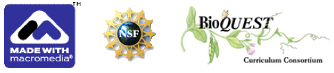 multilogos macromedia nsf bioquest logos